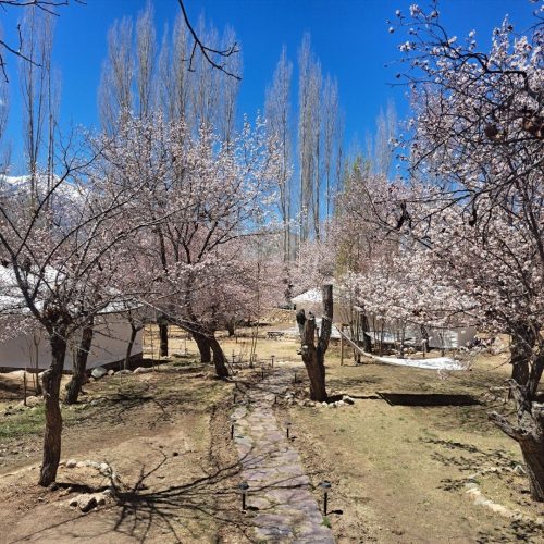 49